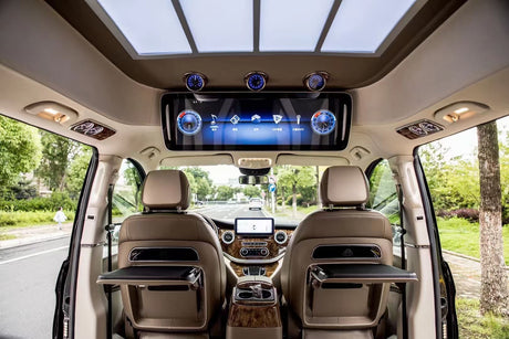 MR2901BK, 29" ceiling monitor with USB