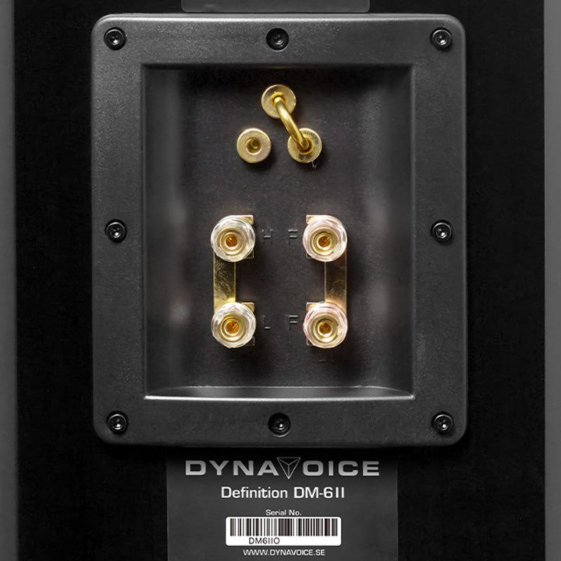 Dynavoice Definition DM-6II, lentyninės garso kolonėlės (2025 metų modelis)