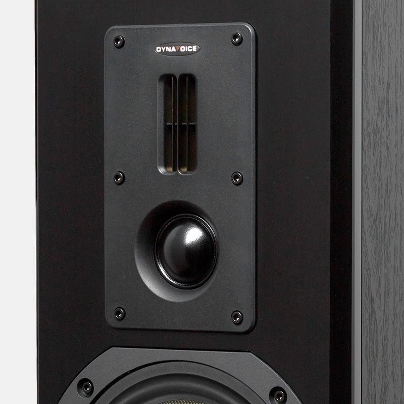 Dynavoice Definition DM-6II, lentyninės garso kolonėlės (2025 metų modelis)