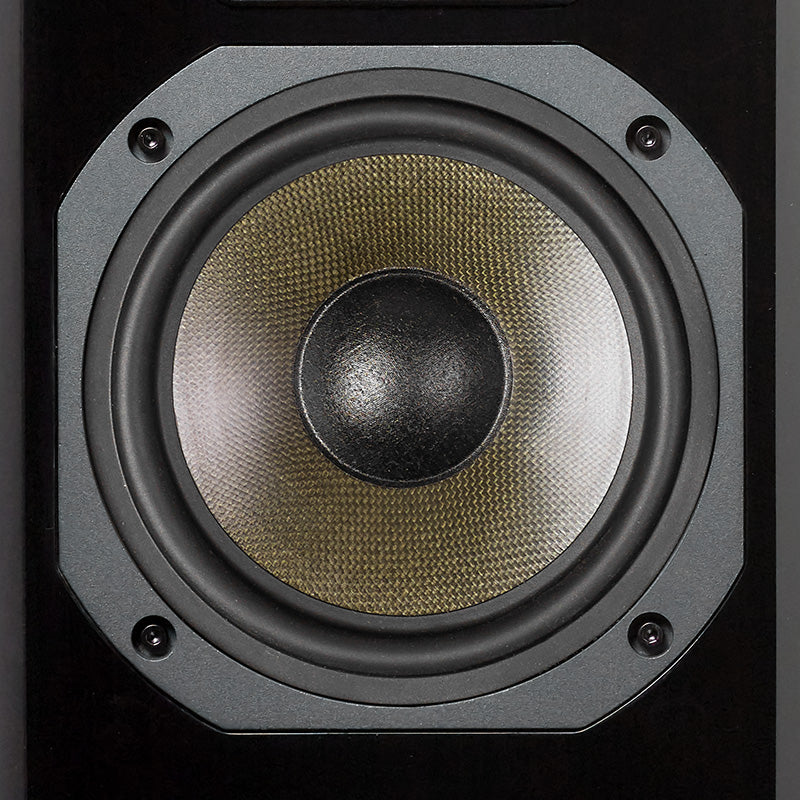 Dynavoice Definition DM-6II, lentyninės garso kolonėlės (2025 metų modelis)