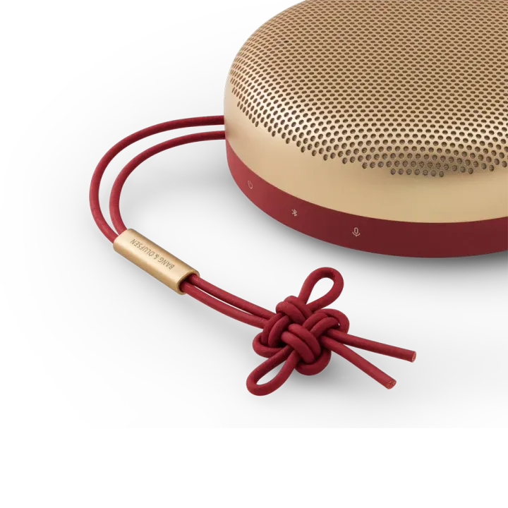 Bang & Olufsen BEOSOUND A1 2ND GEN, belaidė Bluetooth kolonėlė