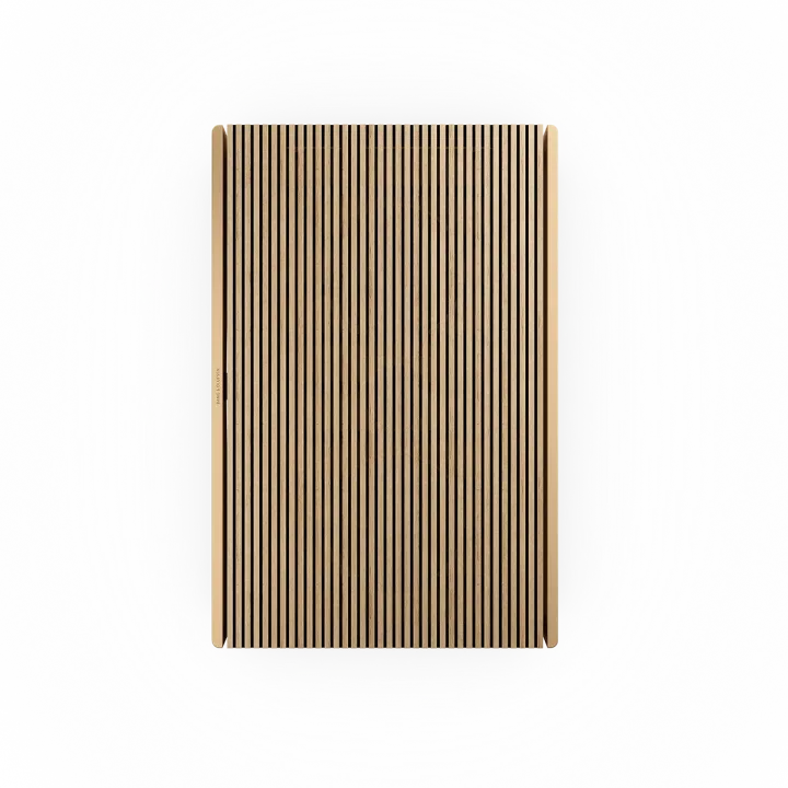 Bang & Olufsen BEOSOUND LEVEL, belaidė WiFi garso kolonėlė