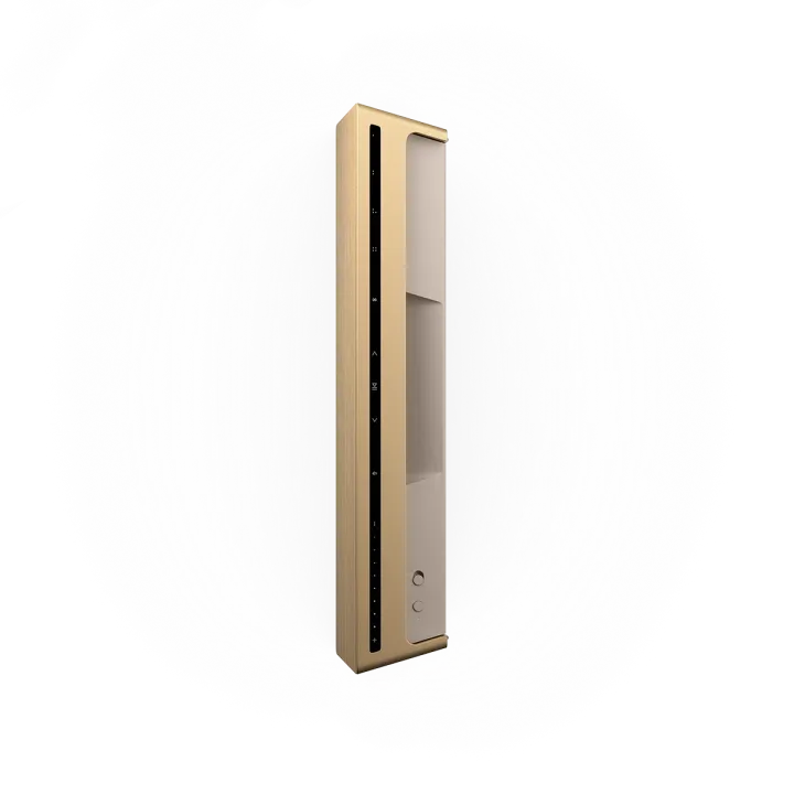 Bang & Olufsen BEOSOUND LEVEL, belaidė WiFi garso kolonėlė