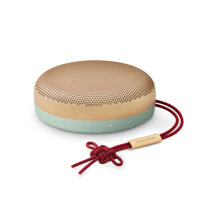 Bang & Olufsen BEOSOUND A1 2ND GEN, belaidė Bluetooth kolonėlė