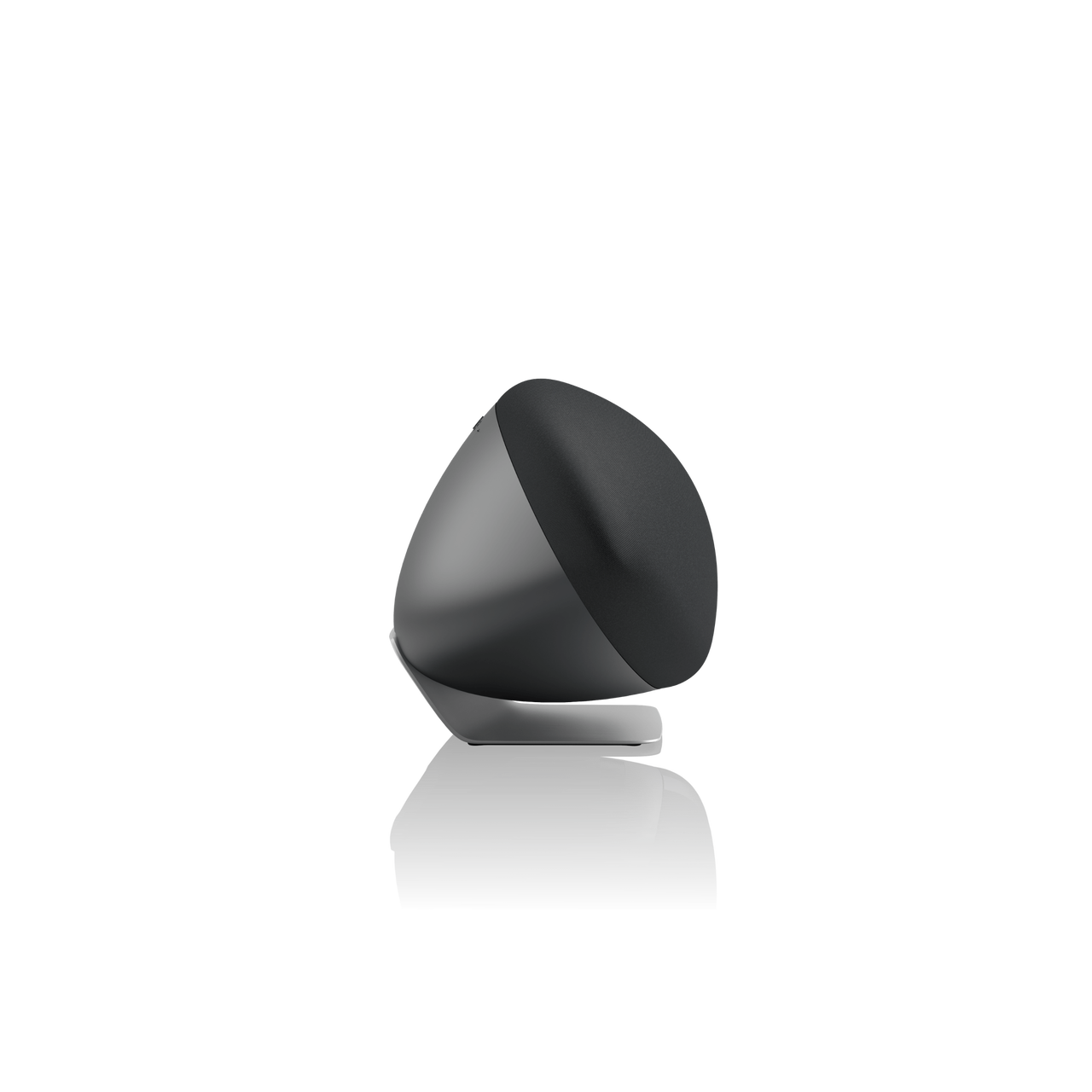 Bowers & Wilkins Zeppelin Pro Edition, aktyvi garso kolonėlė