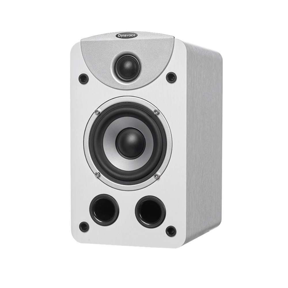 Dynavoice Magic S-4 EX (v.3), Lentyninės garso kolonėlės 100W