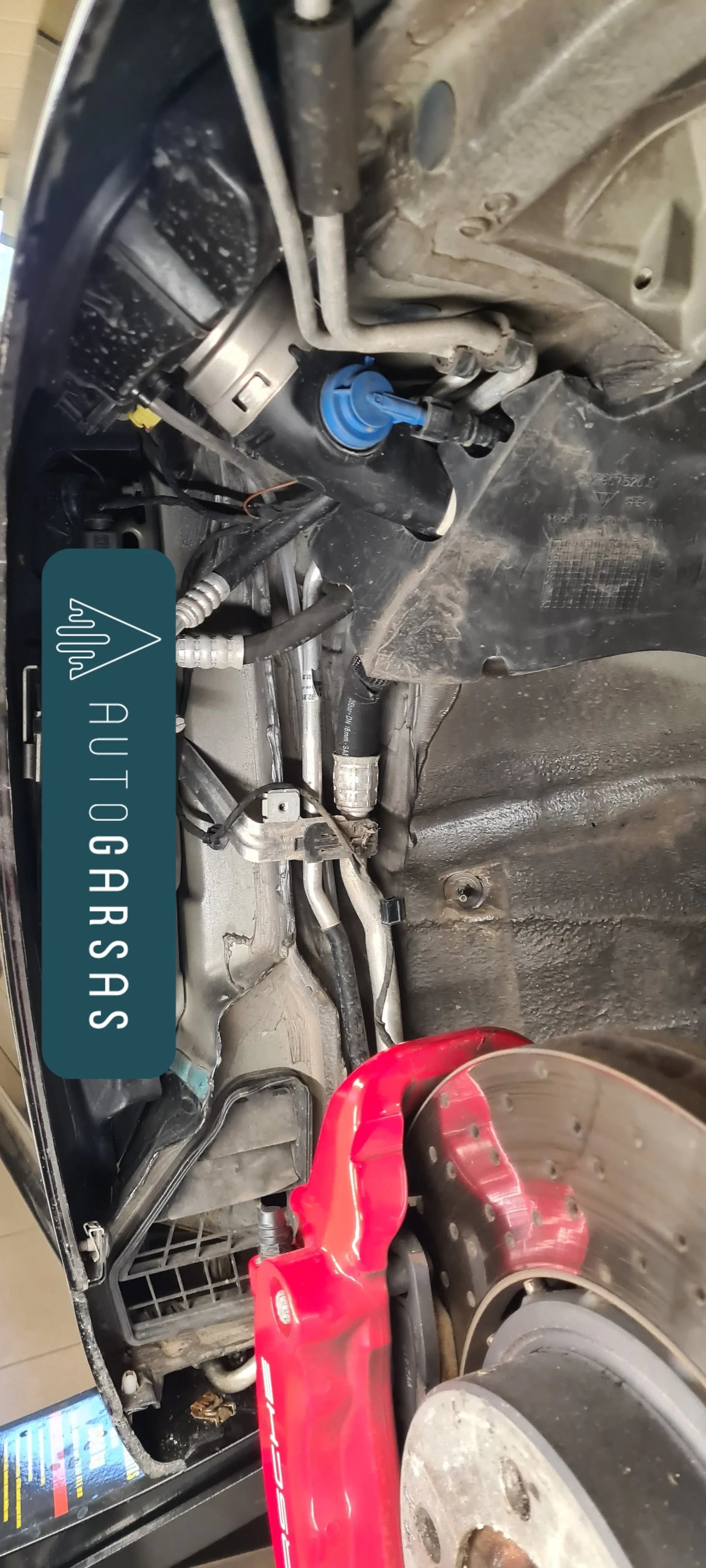 Porsche Carrera 911 - Pilna automobilio garso izoliacija 2024m