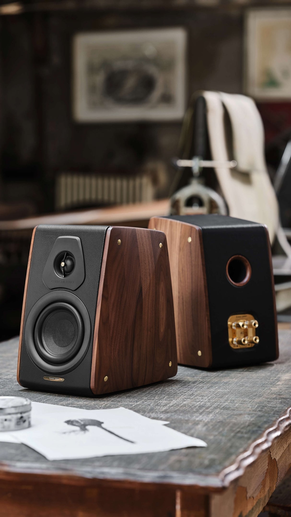 Sonus Faber CONCERTINO G4, lentyninė kolonėlė