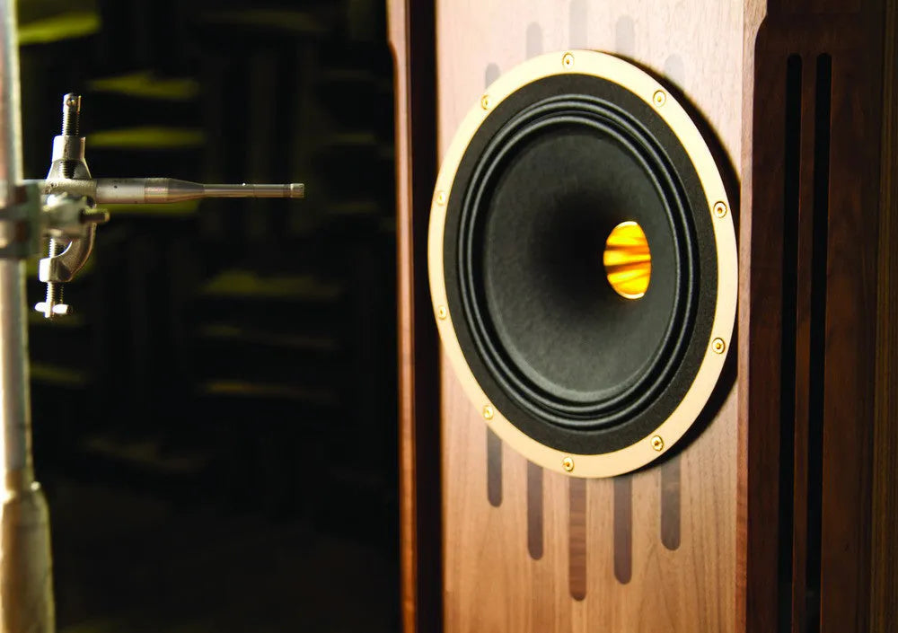 TANNOY KENSINGTON GR, grindinės garso kolonėlės