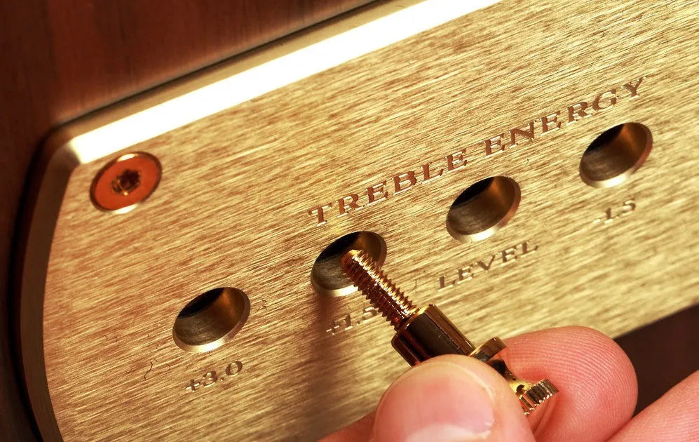 TANNOY KENSINGTON GR, grindinės garso kolonėlės