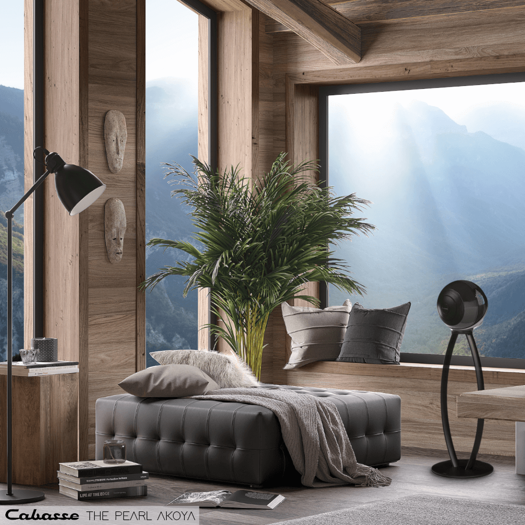 Cabasse The Pearl Akoya, belaidė garso kolonėlė su įmontuotu tinklo grotuvu