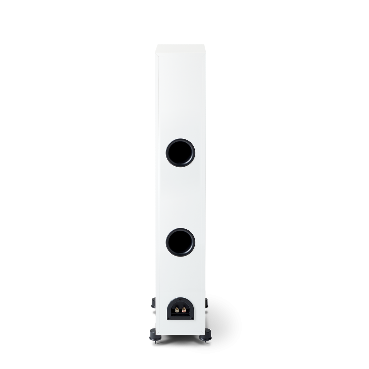 Paradigm Monitor SE 6000F, grindinė garso kolonėlė (įvairių spalvų)- galas