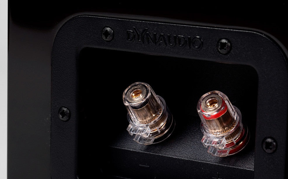 Dynaudio Focus 260 Kolonėlės Dynaudio AUTOGARSAS.LT