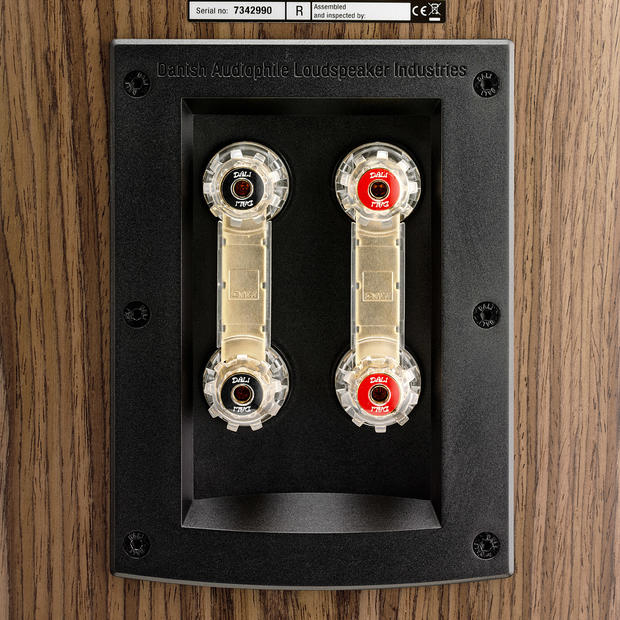 DALI RUBICON 5 Kolonėlės Dali AUTOGARSAS.LT