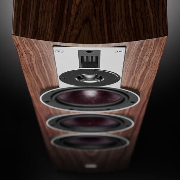 DALI RUBICON 5 Kolonėlės Dali AUTOGARSAS.LT