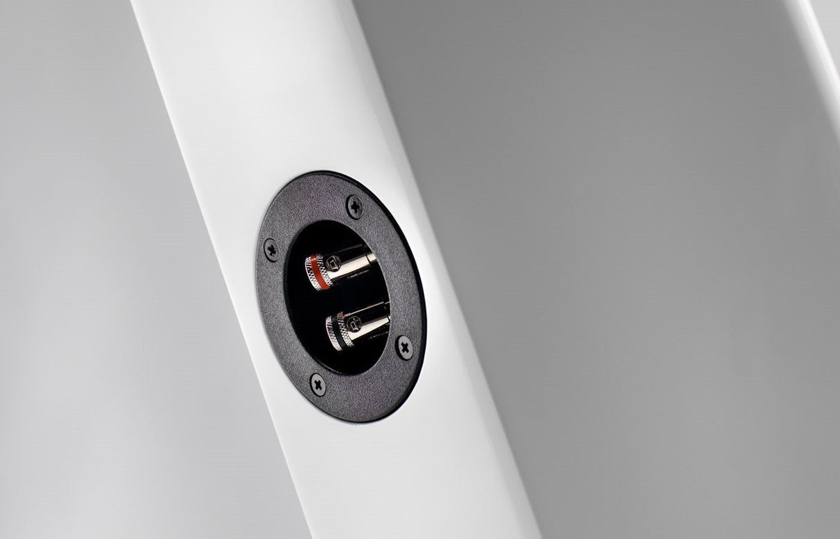 Montuojama garso kolonėlė Sonus Faber VENERE WALL, 2-jų juostų Kolonėlės Sonus Faber AUTOGARSAS.LT