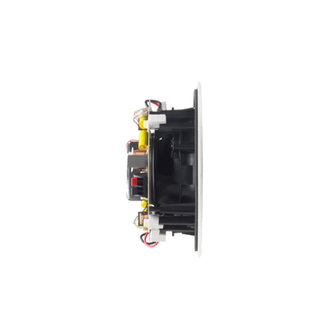 Cabasse ARCHIPEL 17 ICP, į lubas montuojamas garsiakalbis- šonas