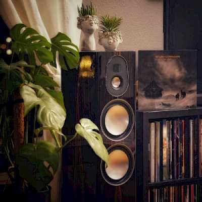 Monitor Audio Gold 300, grindinės garso kolonėlės (įvairių spalvų)