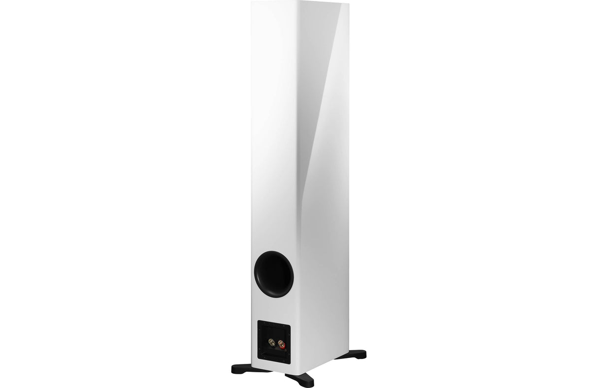 Dynaudio Evoke 50 Kolonėlės Dynaudio AUTOGARSAS.LT