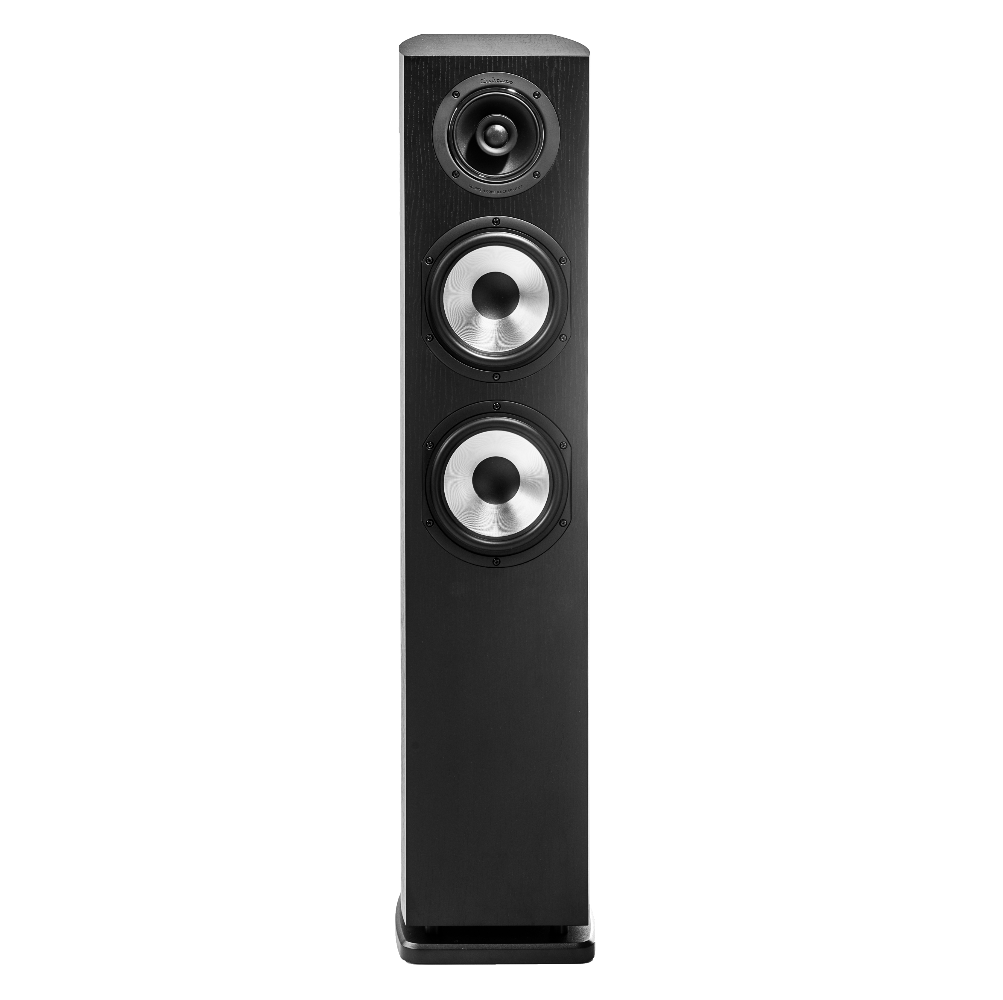 Cabasse JERSEY MC170, grindinė garso kolonėlė (įvairių spalvų)