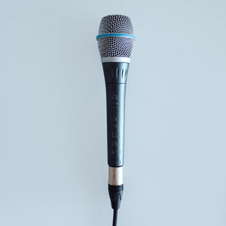 Mikrofonai dainavimui - Šventėms | AUTOGARSAS.LT