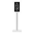 Sonus Faber SONETTO I G2, lentyninė garso kolonėlė