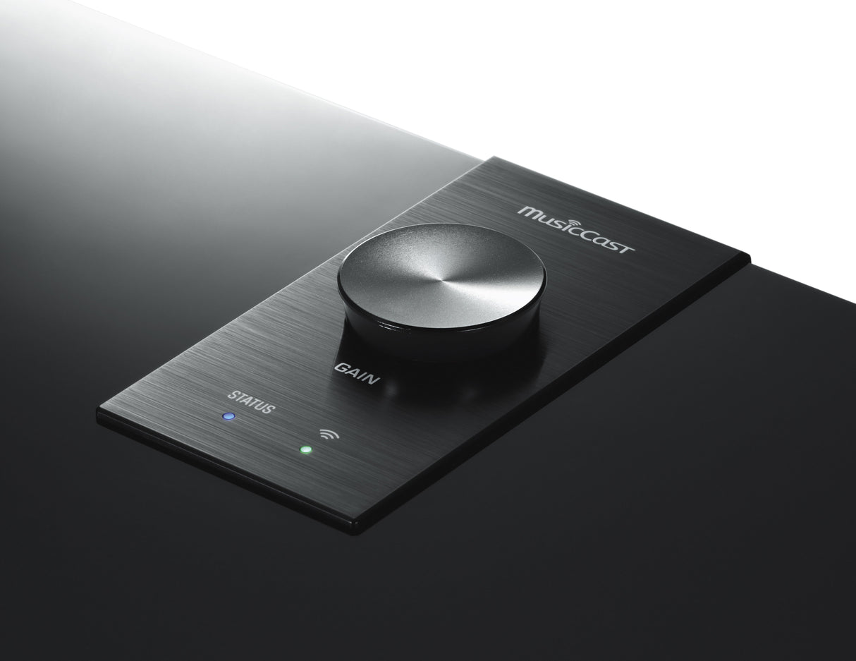 Yamaha NS-NSW100PB MusicCast SUB 100 subwoofer (juodas)