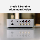 WiiM Vibelink Amp, stereo stiprintuvas su PFFB 