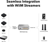 WiiM Vibelink Amp, stereo stiprintuvas su PFFB 