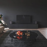 Aktyvios lentyninės garso kolonėlės Audio Pro A26 su Wi-Fi, Bluetooth