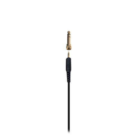 Audio-Technica ATH-AD900X, audiofilinės Open-Air ausinės - Auksinis adapteris ir ausinių kištukas