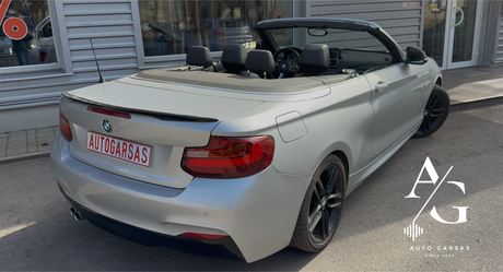BMW 2 kabrioletas, garso aparatūra