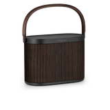 Bang & Olufsen Beosound A5, nešiojama Bluetooth ir Wi-Fi garso kolonėlė