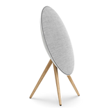 Bang & Olufsen Beosound A9 5th Gen, galinga belaidė garso kolonėlė