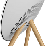 Bang & Olufsen Beosound A9 5th Gen, galinga belaidė garso kolonėlė