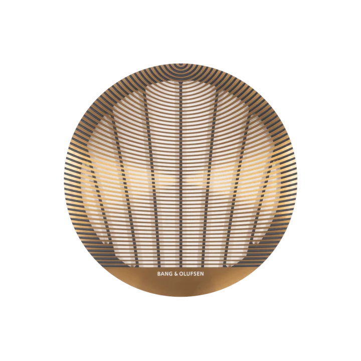 Bang & Olufsen Celestial BOC82DT, 20cm įmontuojamas stereo lubinis garsiakalbis - dekoratyvinis grotelių dizainas su logotipu