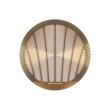 Bang & Olufsen Celestial BOC82DT, 20cm įmontuojamas stereo lubinis garsiakalbis - dekoratyvinis grotelių dizainas su logotipu