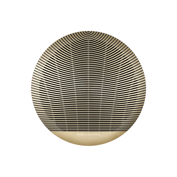 Bang & Olufsen Celestial BOC82DT, 20cm įmontuojamas stereo lubinis garsiakalbis - detalus garsiakalbio grotelių dizainas