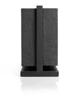 Belaidė garso kolonėlė Audio Pro A40, Multiroom, WiFi, Bluetooth