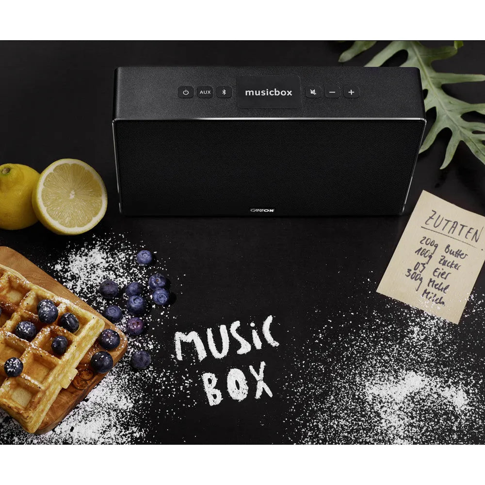 Bevielis muzikos grotuvas Canton MusicBox S su Bluetooth