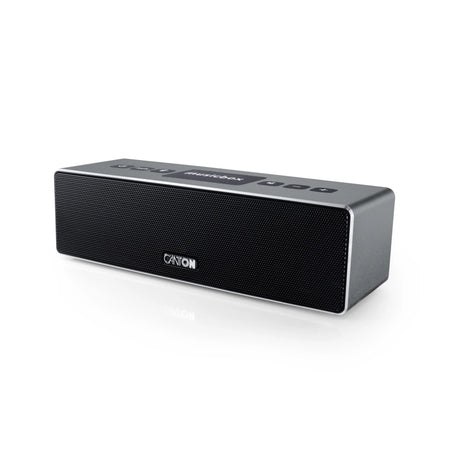 Bevielis muzikos grotuvas Canton MusicBox XS su Bluetooth