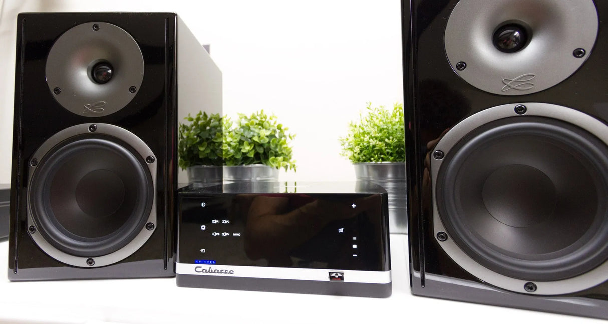 Bevielis tinklo grotuvas Cabasse Stream AMP, su integruotu stiprintuvu