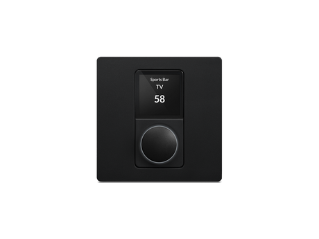 Blaze Wall-S1 EU, PoE sieninis valdiklis, skirtas Blaze Audio PowerZon