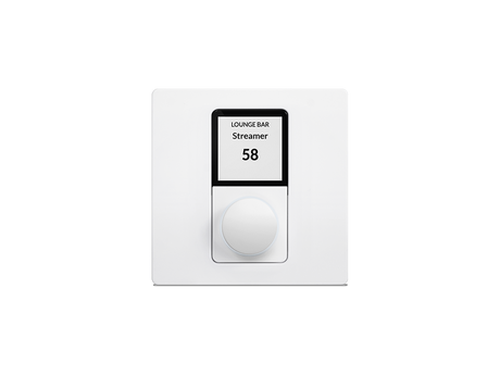 Blaze Wall-S1 EU, PoE sieninis valdiklis, skirtas Blaze Audio PowerZon