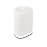 Bluesound PULSE FLEX (2025), belaidė garso kolonėlė