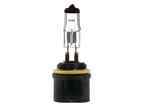 Bosma lemputė 12,8V, 37,5W, Black Top