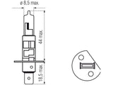 Bosma lemputė H1, 12V, 55W, LLHD - matmenys ir detalus vaizdas