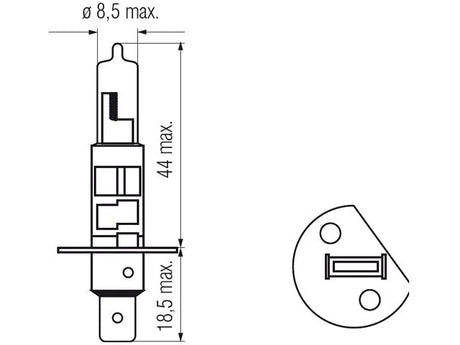 Bosma lemputė H1, 12V, 55W, LLHD - matmenys ir detalus vaizdas