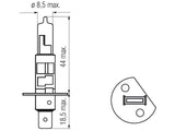 Bosma lemputė H1, 55W, 12V P14,5s komplektas - matmenys ir detalus vaizdas