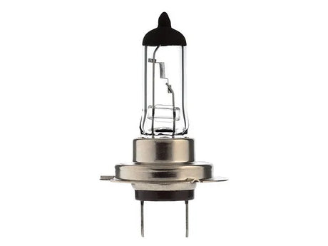 Bosma lemputė H7, 24V, 70W